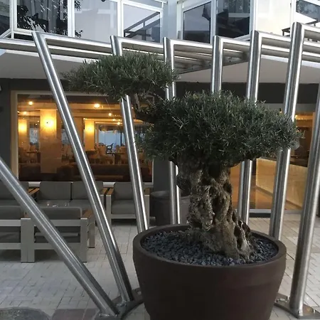 Essence Boutique Hotel 4*